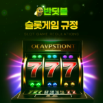 반딧불토토 슬롯게임 규정